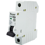 RYDN10-1C50 INT RIEL DIN 1P 50A 6/10KA (RYDN6-1C50)