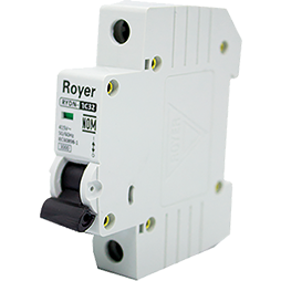 INT RIEL DIN 1P 63A C 3KA/6KA (RYDN6-1C63) (RYDN-1C63) RYDN10-1C63