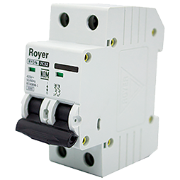 RYDN10-2C25 INT RIEL DIN 2P 25A 6/10KA (RYDN6-2C25)